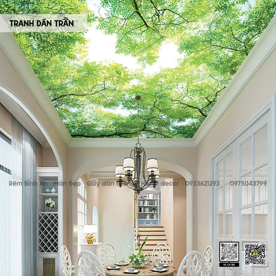 Tranh Dán Trần Tạo Không Gian Rộng Lớn & Thoáng Đãng